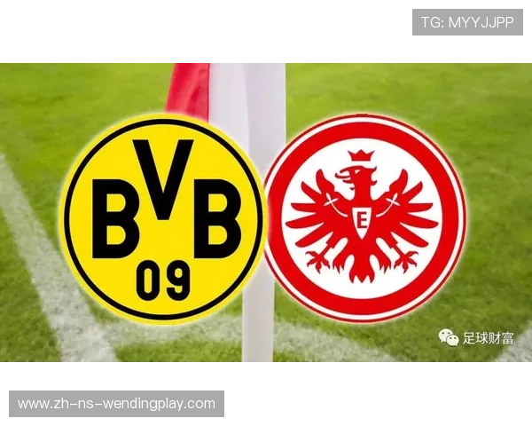 德甲球队名称冠名赞助情况与相关法规概览