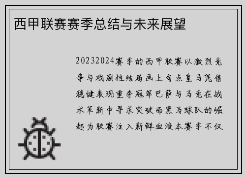 西甲联赛赛季总结与未来展望